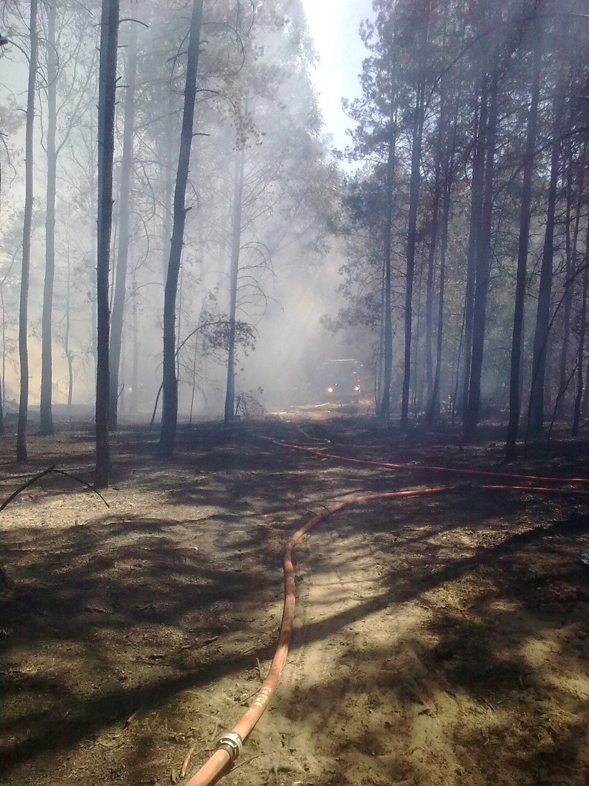 Gmina Chotcza: pożar w Baranowie. Spłonęły budynki i las