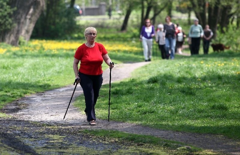 Maszerują z kijkami. Bezpłatne zajęcia z nordic walking 