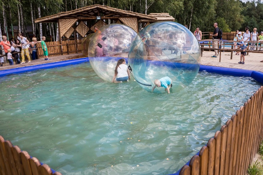 Zabawa widoczna na zdjęciu to zorbing, polegający na...