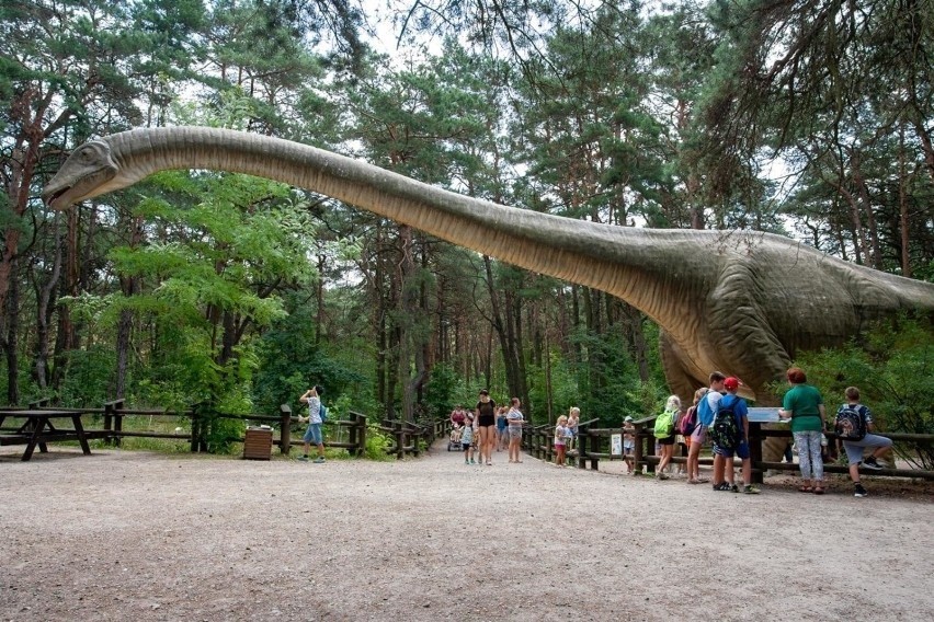 Jeśli jeszcze nie byliście w soleckim parku dinozaurów,...