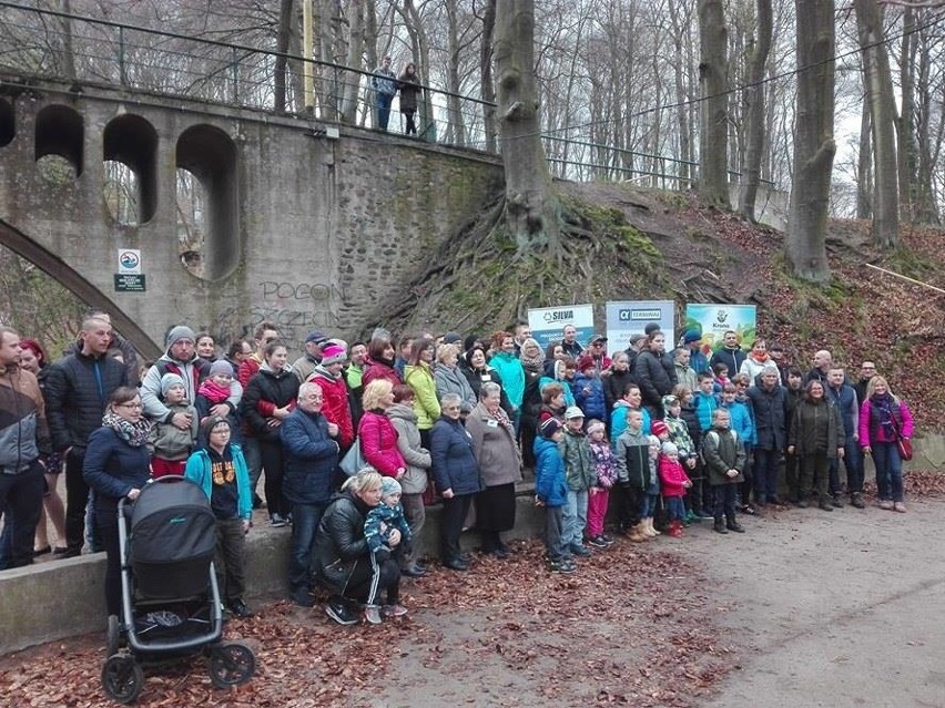 5000 drzew dla Szczecina. Tu będą rosły buki i świerki