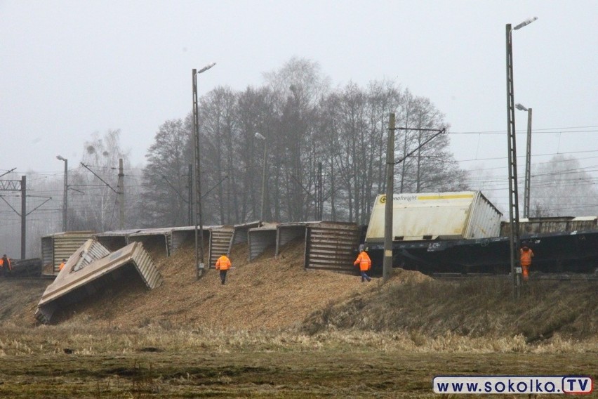 Trasa kolejowa Białystok - Sokółka. Wykoleił się pociąg. Siedem wagonów wypadło z torów (zdjęcia)