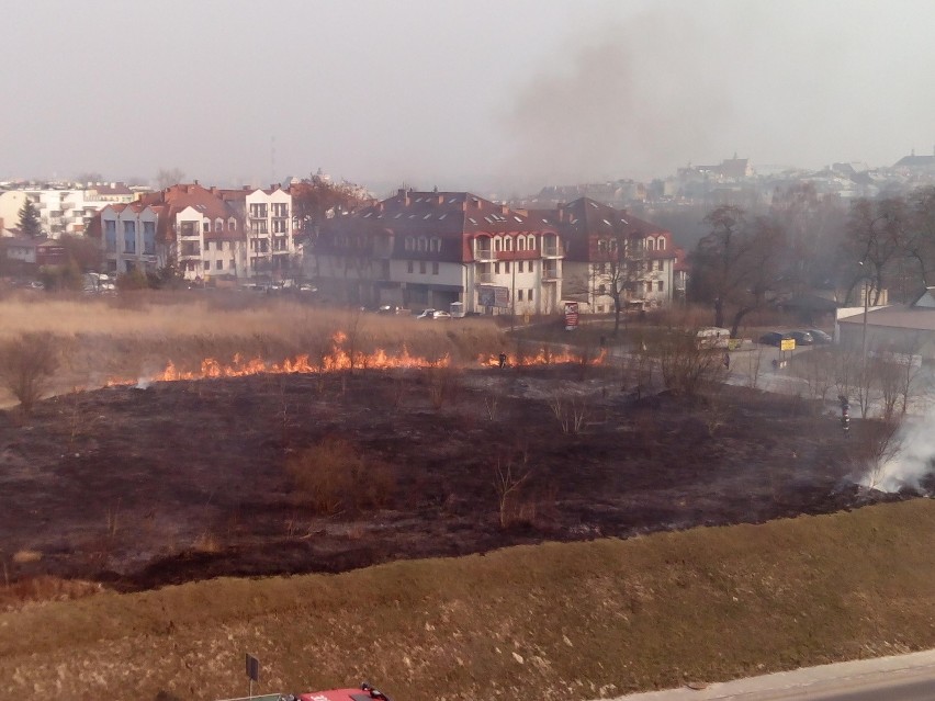 Kolejny pożar traw w Lublinie. Ogień na rogu ulic Szeligowskiego i Północnej (ZDJĘCIA)