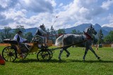 Góralskie konie i zawody w powożeniu na otwarcie Festiwalu Folkloru Ziem Górskich