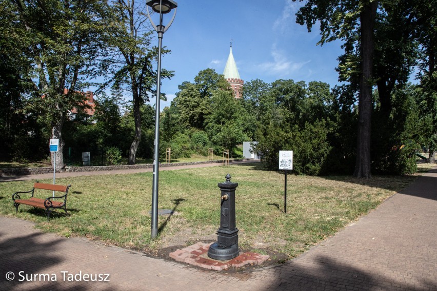 Czysta woda w Parku Chrobrego w Stargardzie. Mieszkańcy mogą pić ze stylowego kranu