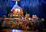 Piękna szopka bożonarodzeniowa w kościele na Glinicach w Radomiu. Zobacz zdjęcia! 