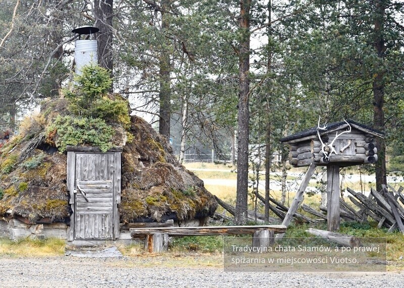 Finlandia – Laponia latem. Uniwersyteckie Centrum Przyrodnicze zaprasza na nową wystawę 