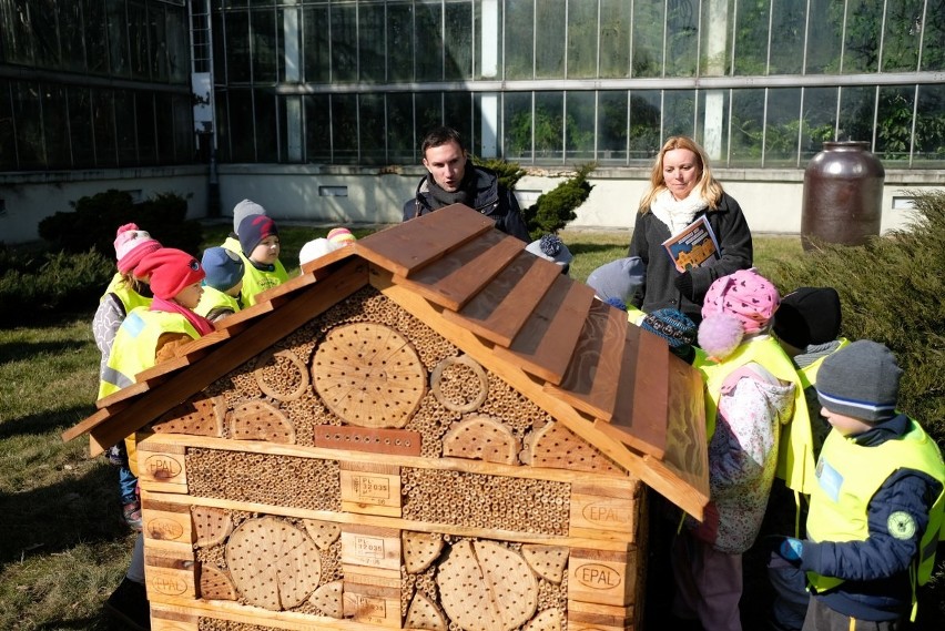 Park Wilsona: Zamontowano siedem budek dla wróbli oraz...