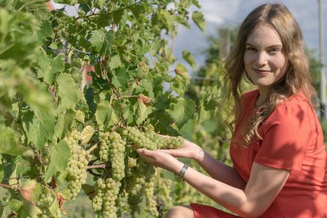   KLIKNIJ I ZAGŁOSUJ NA MALWINĘWybory Miss Winnego Grodu 2015: