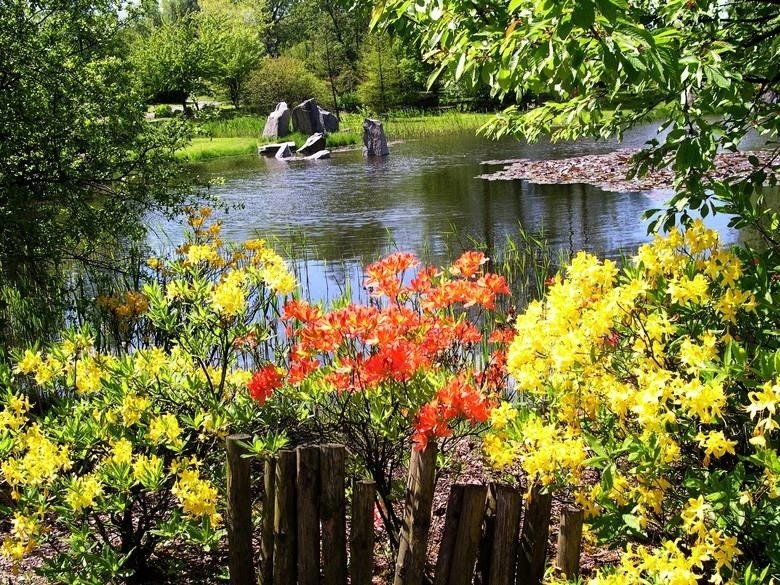 Ogród Botaniczny w Łodzi serdecznie zaprasza przez cały...