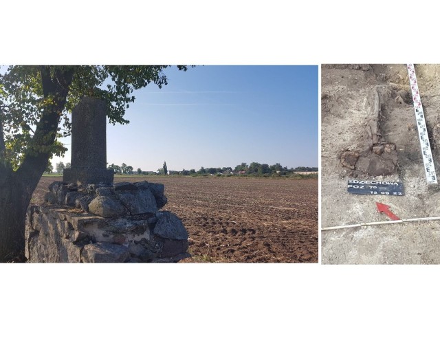 Na zlecenie gminy Gniezno, po otrzymaniu wszelkich niezbędnych zgód 12 września rozpoczęły się prace w miejscu rozstrzelania ludzi. Część terenu zbadano georadarem. W efekcie tych badań, tuż pod pomnikiem znaleziono dwa groby i jedne ludzkie szczątki.