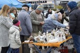 Targi staroci i zbiorów kolekcjonerskich na skierniewickim rynku [ZDJĘCIA]