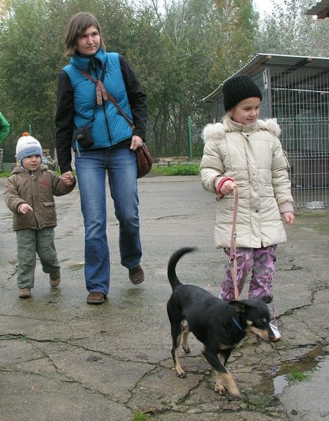 Dzieci odwiedzające przytulisko mają okazję wyprowadzić psy na spacer, tak jak to zrobiła Lidka.