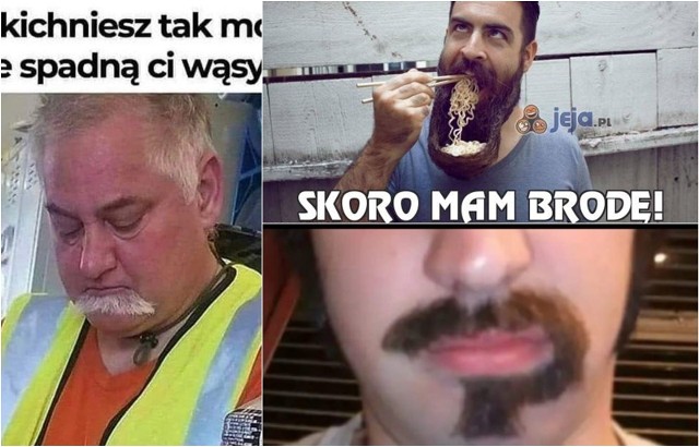 2 września obchodzimy Światowy Dzień Brody. Zobaczcie mamy o brodaczach >>