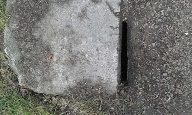 Po interwencji betonowa płyta znalazła się na studzience groźnej dla pieszych.