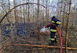 Gmina Gizałki. Pożar lasu na granicy powiatów pleszewskiego i konińskiego