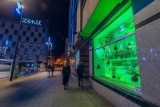 Dwie "zielone" instalacje przy rynku w Katowicach. Będą promować COP24 ZDJĘCIA
