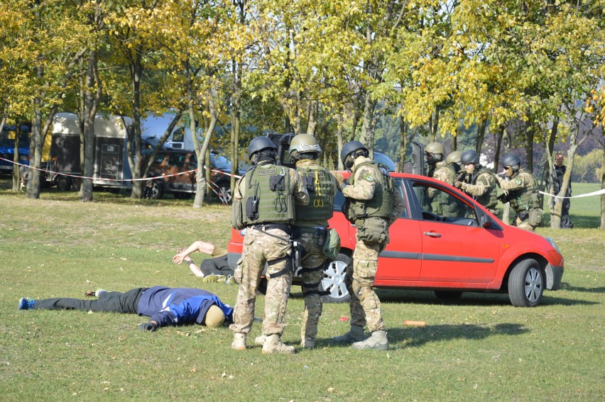 Piknik Niepodległościowy Służb Mundurowych w Opolu.