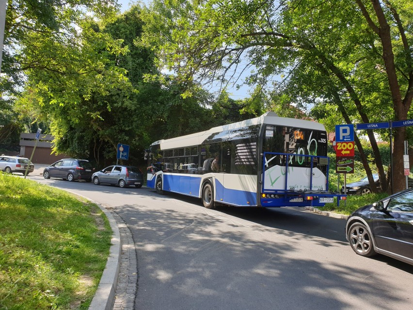 Takie korki tworzą się na trasie dojazdowej do zoo