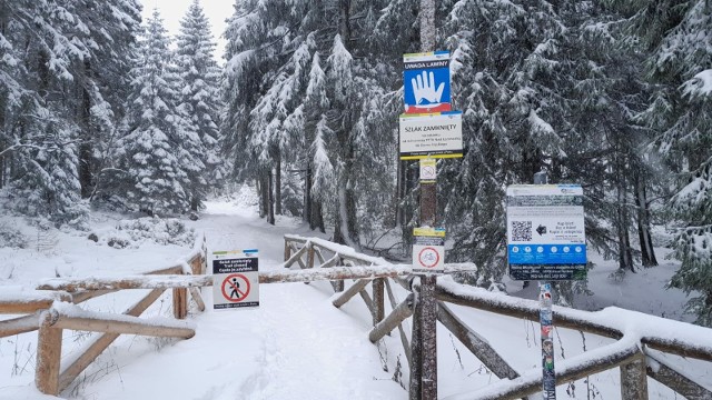 W Karkonoszach szlaki, które są zimą zamknięte, są wyraźnie oznakowane. Niestety, nie wszyscy turyści stosują się do zakazów wejścia.