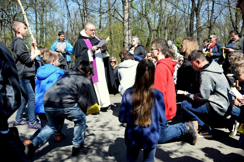 Około tysiąca wiernych na drodze krzyżowej w parku dzikowskim [ZDJĘCIA]