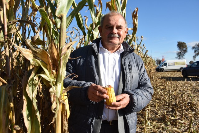Prof. Michalski: - Jeszcze pięć - sześć lat temu musiałem się sprzeczać z tymi, którzy twierdzili, że w ekologii nie ma miejsca na kukurydzę i w ogóle nie jest ona potrzebna w gospodarstwach bio!