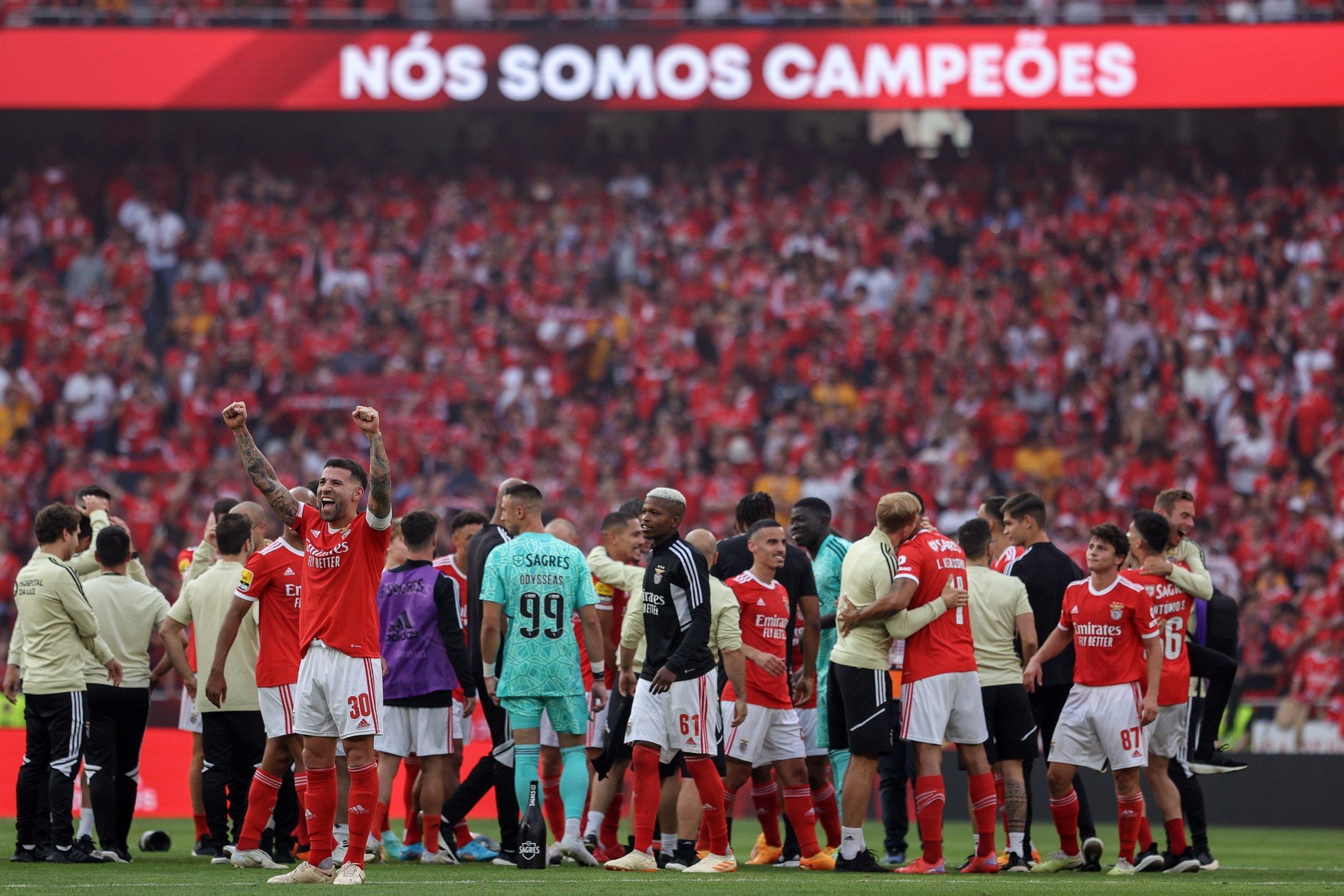 Liga portugalska - Benfica Lizbona mistrzem po raz 38. w historii | Gol24
