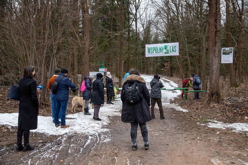Protest przeciwko wycince Lasu Solnickiego pod pas startowy dla Krywlan w Międzynarodowy Dzień Lasu (zdjęcia)