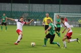 Skra - GKS Katowice 1:0. Drugoligowe derby województwa śląskiego dla częstochowian