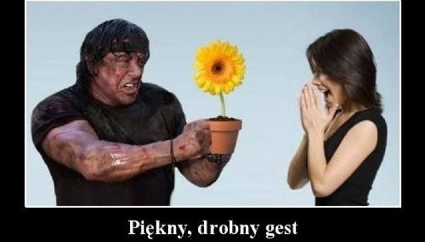 Kliknij przycisk "NASTĘPNE" i przejdź do kolejnych memów. Te...