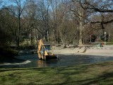 Park Wilsona w Poznaniu: Wiosenne porządki i czyszczenie stawu [ZDJĘCIA]