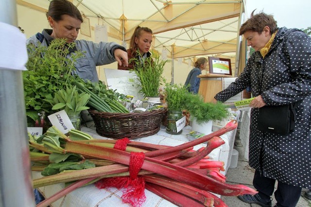 Dietetycy nie mają wątpliwości: warto sięgać po produkty ekologiczne.