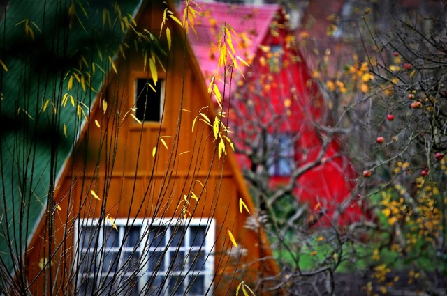 Kolorowe altany w Dolinie Radości Jeśli też udało wam się zrobić piękne zdjęcia jesieni wyślijcie je do nas na adres: internet@prasa.gda.pl.