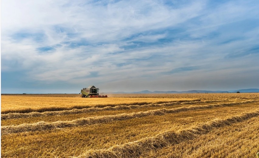 Żywność i czysta energia z Małopolski podbiją świat? Nasi rolnicy mają wielki potencjał i mogą liczyć na wsparcie państwa i nauki 