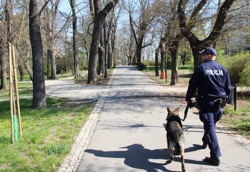 Nagłos - nowy pies brzeskich policjantów.