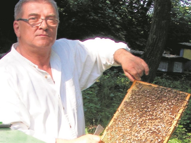 Pszczoły w tym roku się nie napracowały - mówi widoczny na zdjęciu jeden z kujawskich pszczelarzy Kazimierz Strzelecki