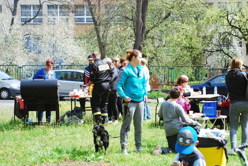 Wielkie sprzątanie parku