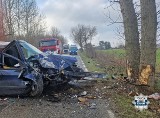 Jedna osoba ranna w wypadku w Radomiu. Kierowca z impetem uderzył w drzewo