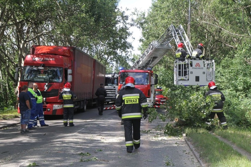 Przewrócone drzewo zablokowało ul. Opolską 
