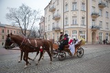 Tarnów. Dzieci przystroiły choinkę w Rynku [ZDJĘCIA]