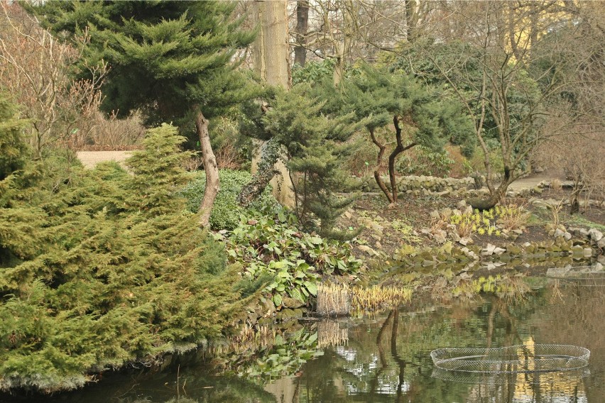 Wrocławianie chętnie biorą też śluby w ogrodzie botanicznym