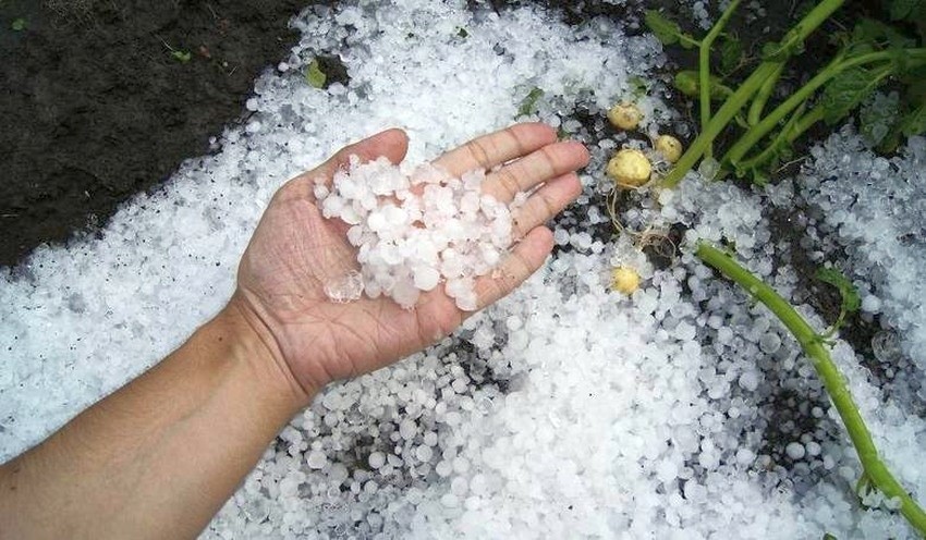 Gradobicie w Podlaskiem na zdjęciach naszych Czytelników