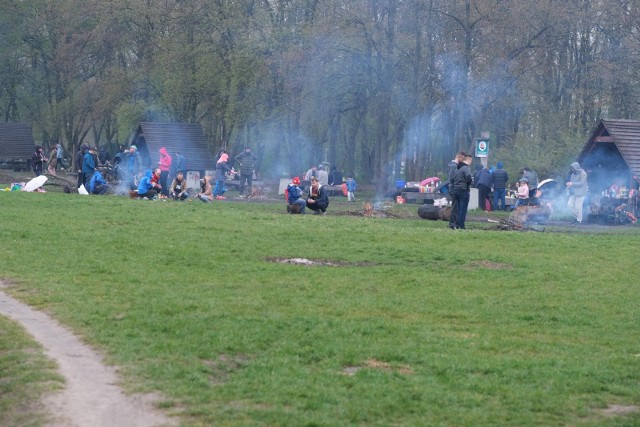 Kto zostanie w mieście, ten pragnie choć jedno popołudnie spędzić przy grillu - choćby, jak na zdjęciu, na polanie w Lesie kabackim (Warszawa).