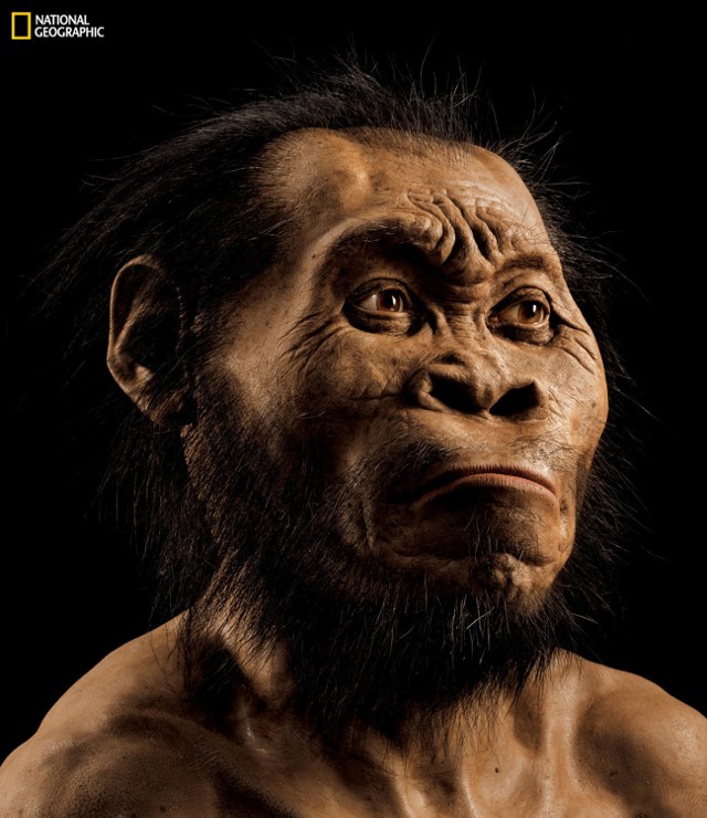 Naukowcy z Uniwersytetu w Johannesburgu odkryli nowy gatunek człowieka - Homo naledi.