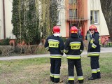 Ojciec twierdził, że syn może wysadzić blok. Na miejscu policja i straż pożarna [ZDJĘCIA]