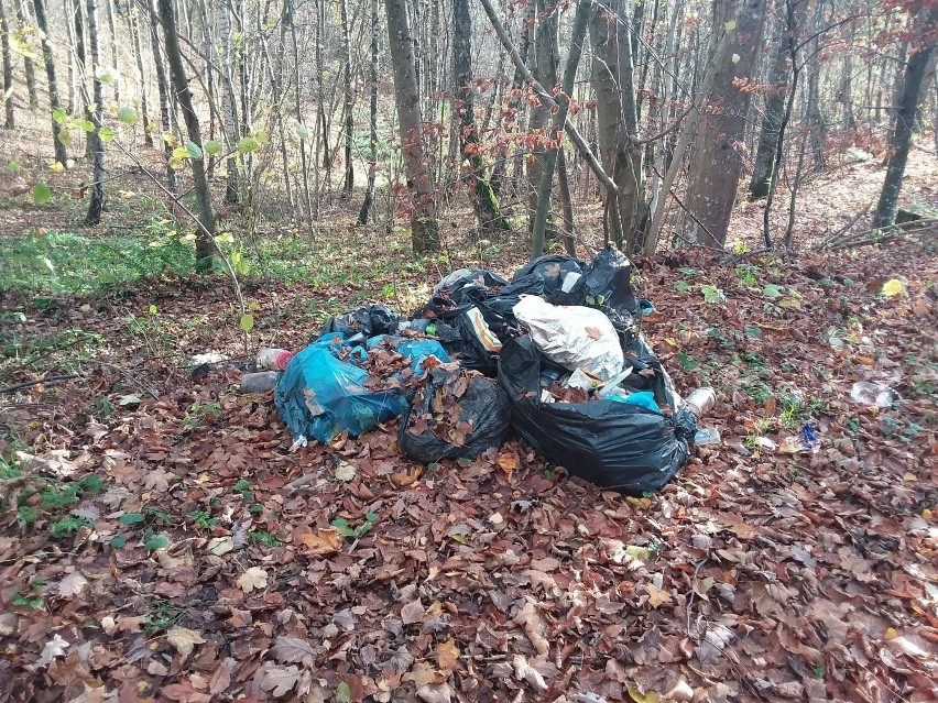 Straż Leśna Nadleśnictwa Choczewo ukarała trzy osoby wyrzucające śmieci w lesie. Zdjęcia
