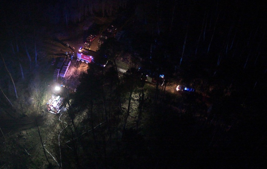 Ponad 100 strażaków z 30 jednostek PSP i OSP gasiło pożar lasu w okolicy miejscowości Obojna w powiecie stalowowolskim [ZDJĘCIA, WIDEO]