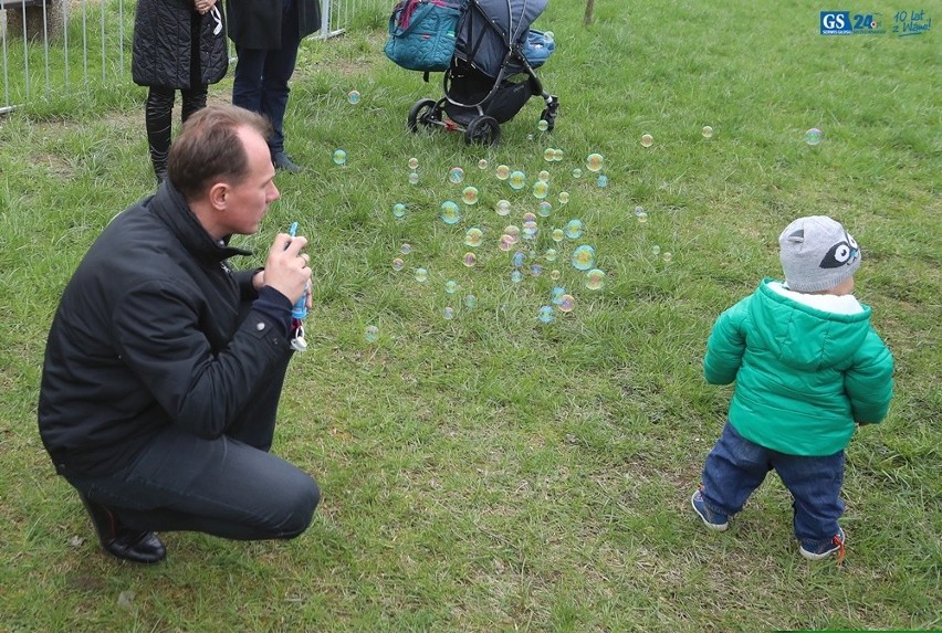 Gumieńce: Pierwsze smoczki już wiszą na drzewku