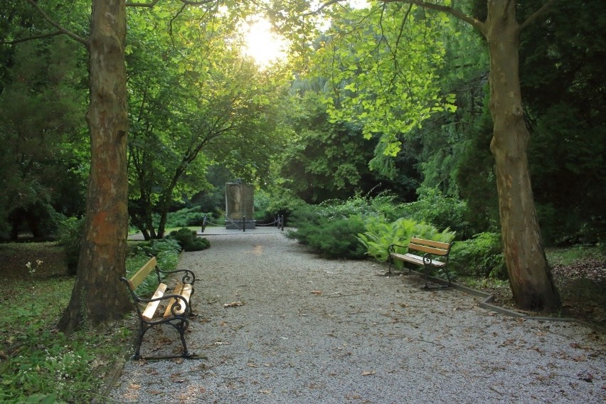 Park - arboretum w Czarncy w gminie Włoszczowa ma już 55 lat (ZDJĘCIA)