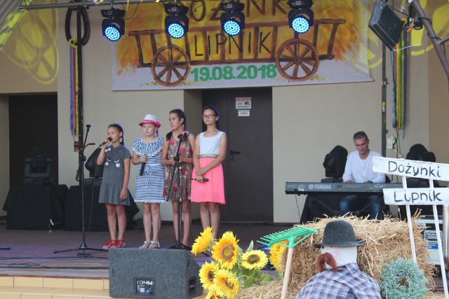 Zobacz, jak bawili się mieszkańcy na dozynkach gminnych w Lipniku. Odbyły się w niedzielę.